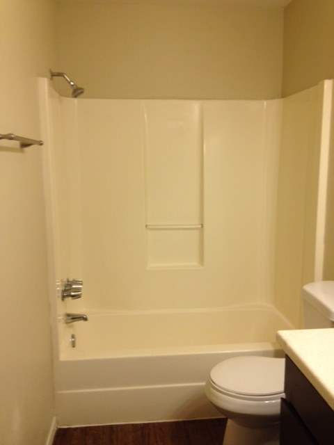 Tub and shower_lots of storage.JPG